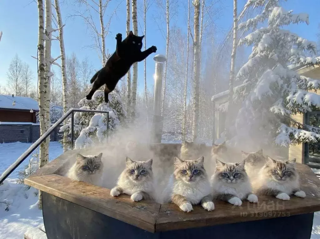 Дом в Московская область, Клин городской округ, ДНП Радости Парк 1 ... - Фото 1