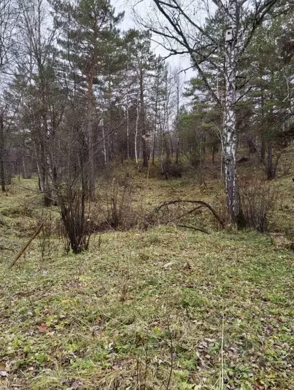 Участок в Алтай, Майминский район, с. Кызыл-Озек  (15.0 сот.) - Фото 1