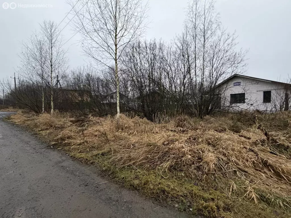 Участок в деревня Жилино, 2-я Заречная улица (5.7 м) - Фото 2