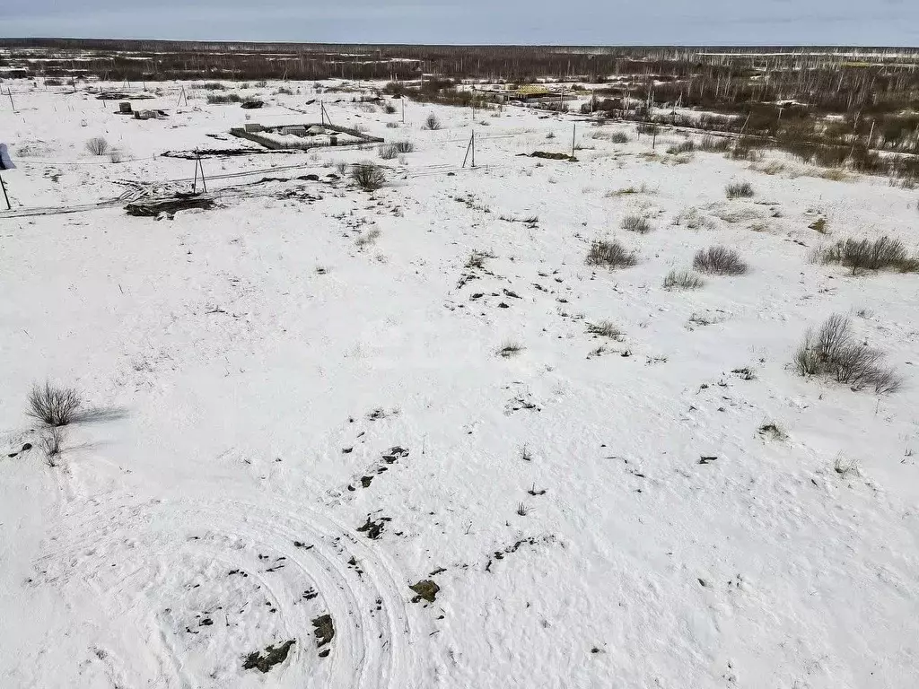Участок в Тюменская область, Тюмень Большое Царево-2 СНТ,  (10.0 сот.) - Фото 1