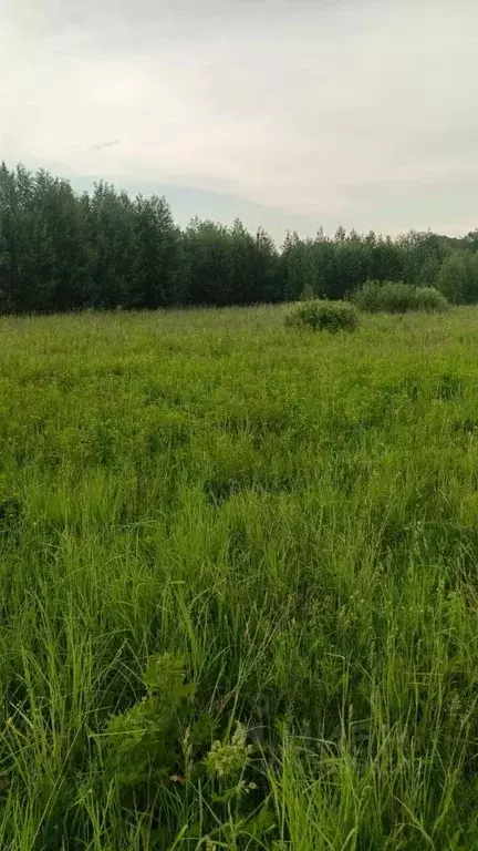 Участок в Владимирская область, Собинский муниципальный округ, с. ... - Фото 2