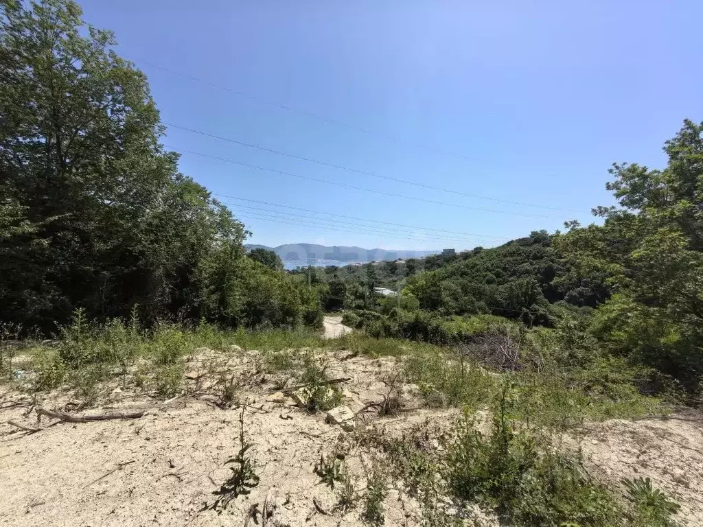 Участок в Краснодарский край, Новороссийск ул. Апрельская (5.2 сот.) - Фото 1