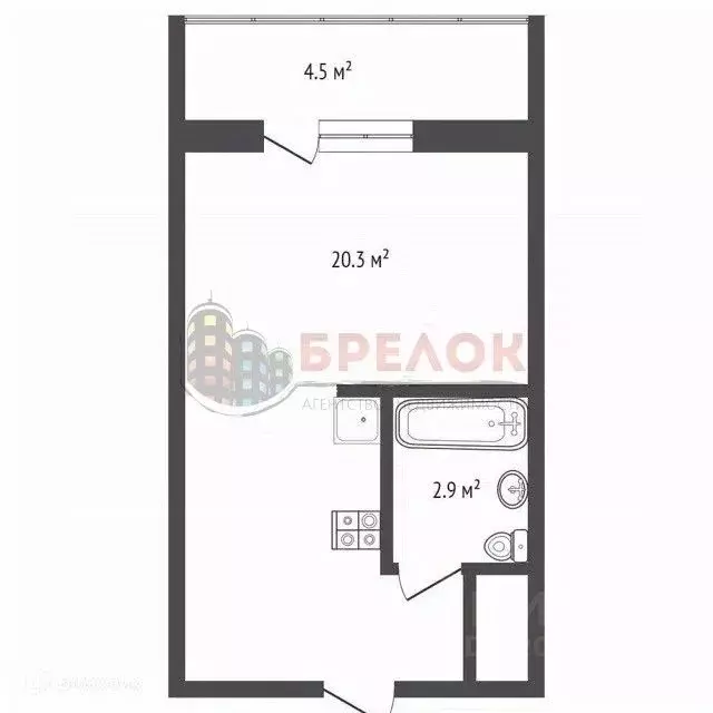 Студия Ростовская область, Ростов-на-Дону пер. Гарнизонный, 3 (28.0 м) - Фото 1