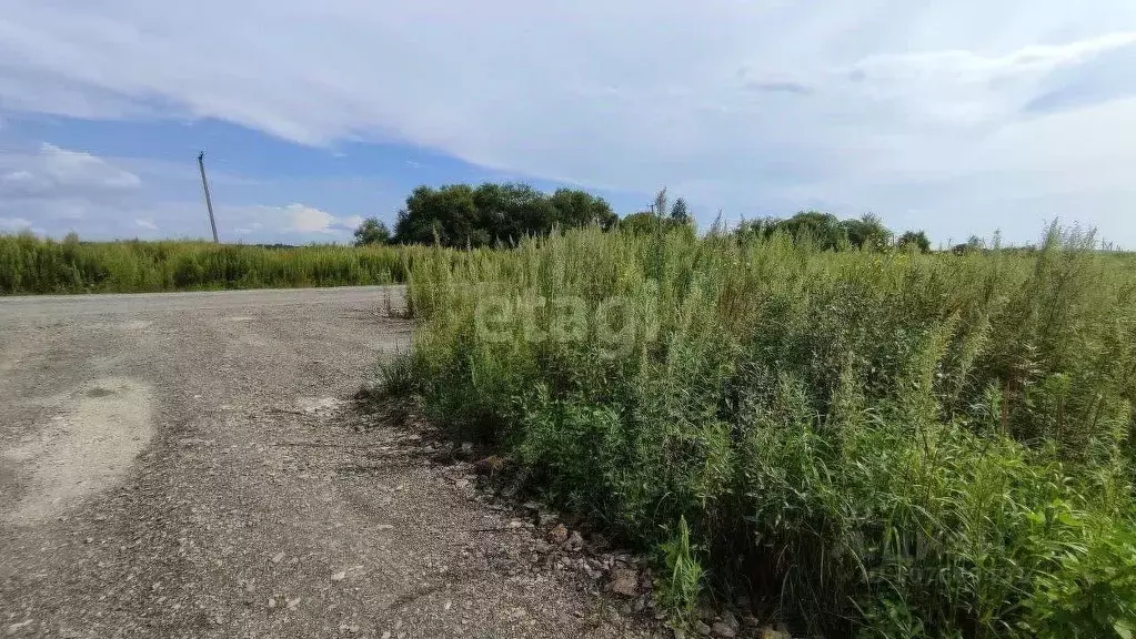 Участок в Хабаровский край, Хабаровский район, с. Гаровка-1  (10.0 ... - Фото 0