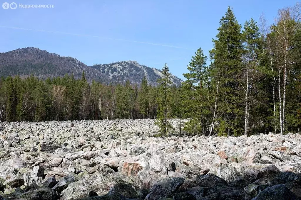 Участок в Белорецкий район, Нурский сельсовет, село Отнурок, ... - Фото 1