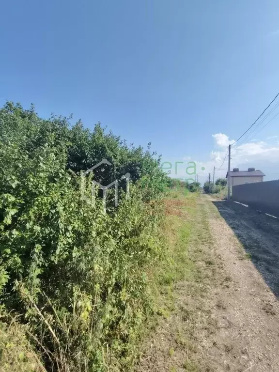 Участок в Воронежская область, с. Семилуки ул. Д. Якушкина (8.0 сот.) - Фото 1