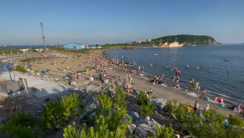 3-к кв. Приморский край, Владивосток ул. Басаргина, 6Бк1 (46.0 м) - Фото 2
