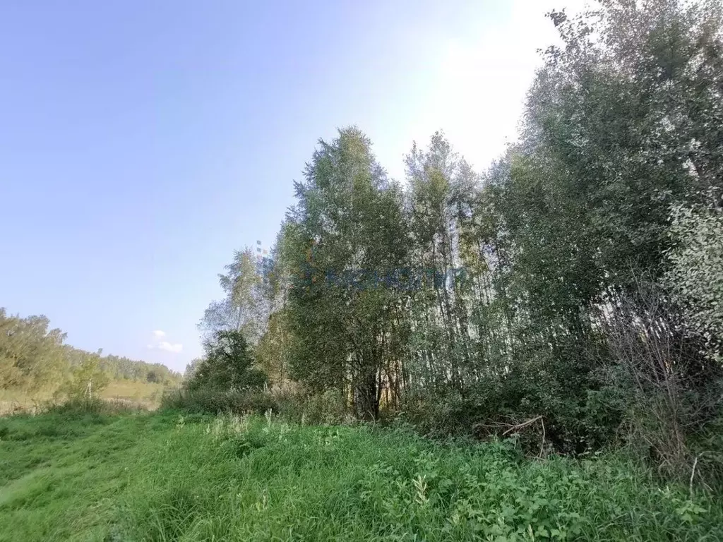 Участок в Нижегородская область, Нижний Новгород д. Сартаково, ул. ... - Фото 1