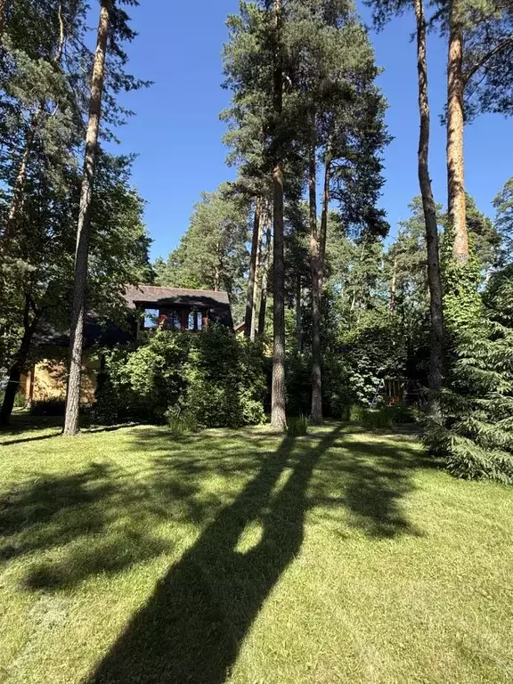 Дом в Московская область, Мытищи Зеленая ул., 2 (328 м) - Фото 1