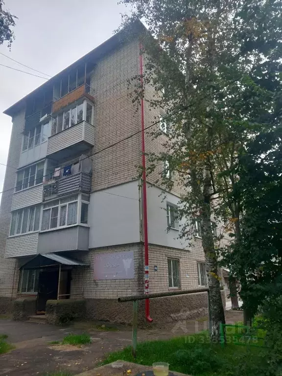 Помещение свободного назначения в Нижегородская область, Богородск 2-й ... - Фото 1