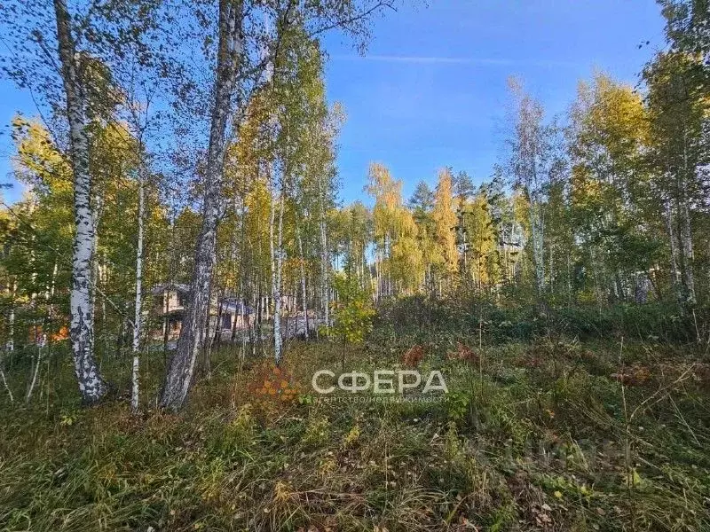 Участок в Новосибирская область, с. Новолуговое ул. Уральская (10.0 ... - Фото 2