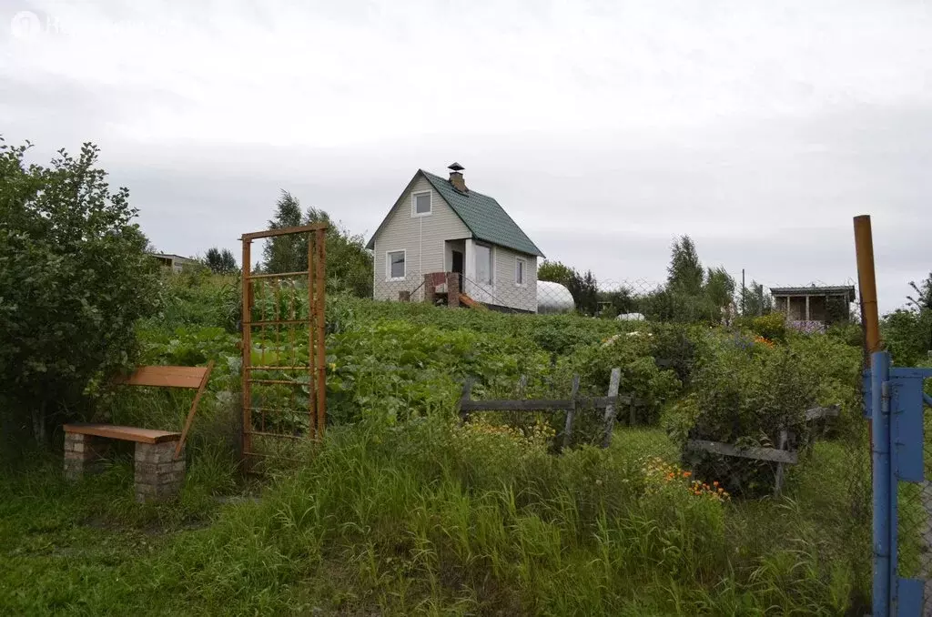 Купить Дачу В Сухой Балке Красноярск