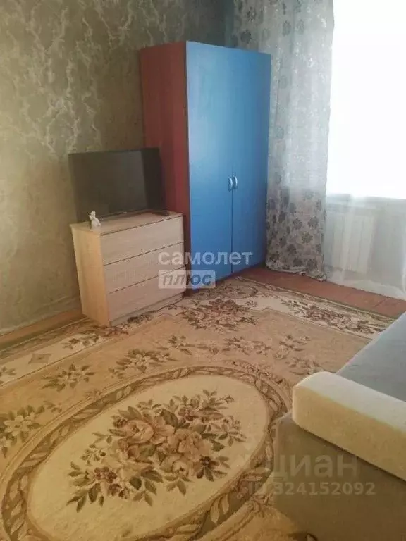 1-к кв. Челябинская область, Красноармейский муниципальный округ, пос. ... - Фото 2