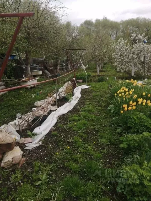 Участок в Московская область, Луховицы муниципальный округ, с. ... - Фото 2