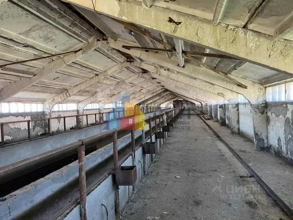 Помещение свободного назначения в Тульская область, Киреевский район, ... - Фото 1