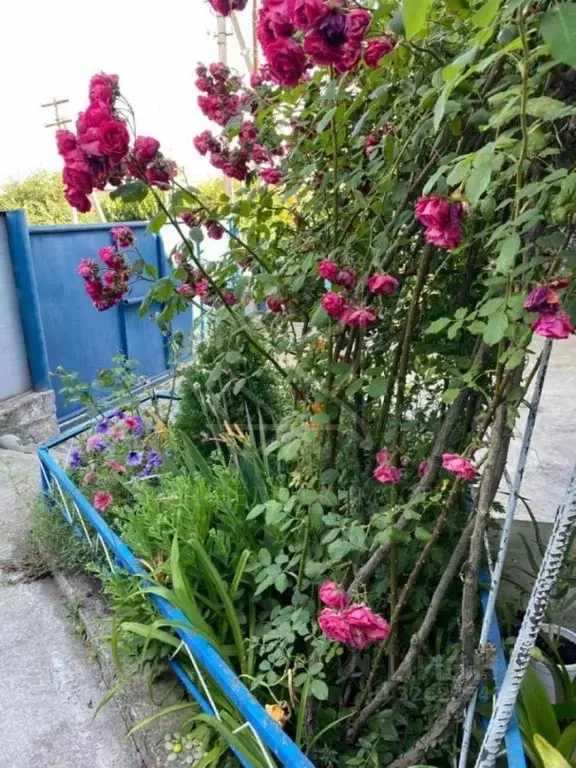 Дом в Ставропольский край, Предгорный муниципальный округ, с. Юца ул. ... - Фото 2