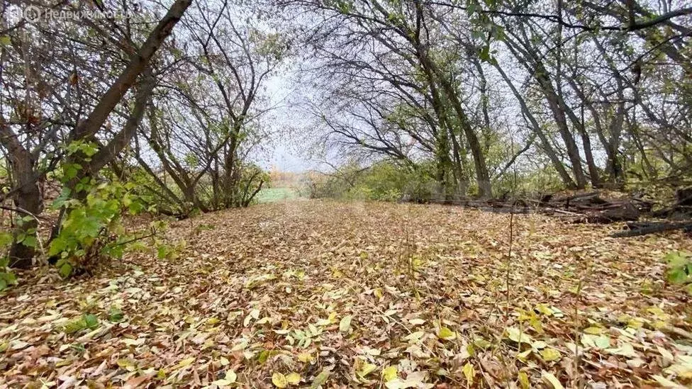 Дом в Исетский район, село Красново (71 м) - Фото 0