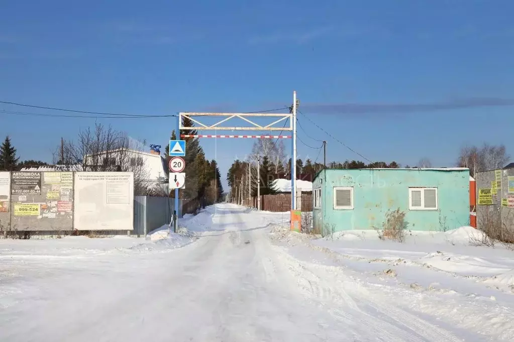 Участок в Тюменская область, Тюмень городской округ, Сосновая Поляна ... - Фото 0