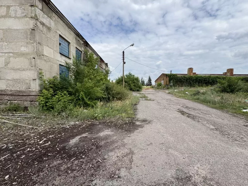 Производственное помещение в Воронежская область, Воронеж ул. ... - Фото 1