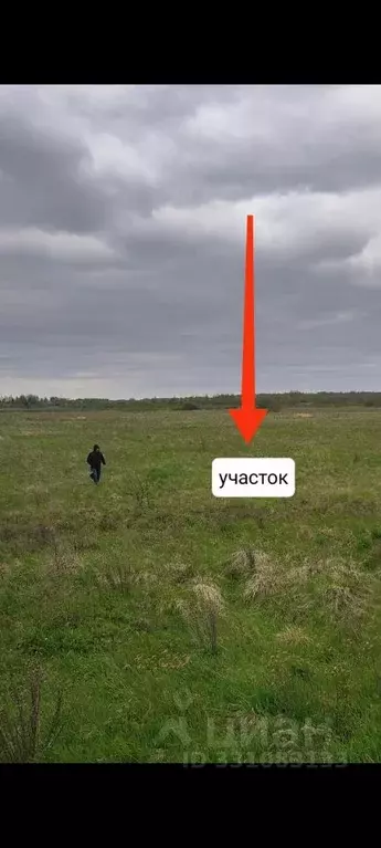 Участок в Новгородская область, Шимское городское поселение, д. Голино ... - Фото 1