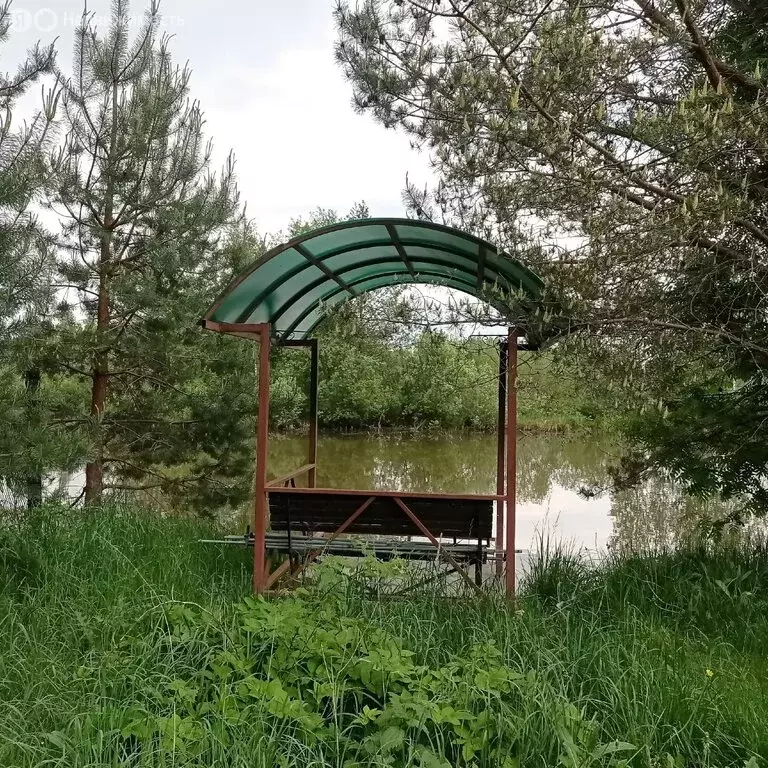 Дом в Псковская область, Великолукский муниципальный округ, деревня ... - Фото 1