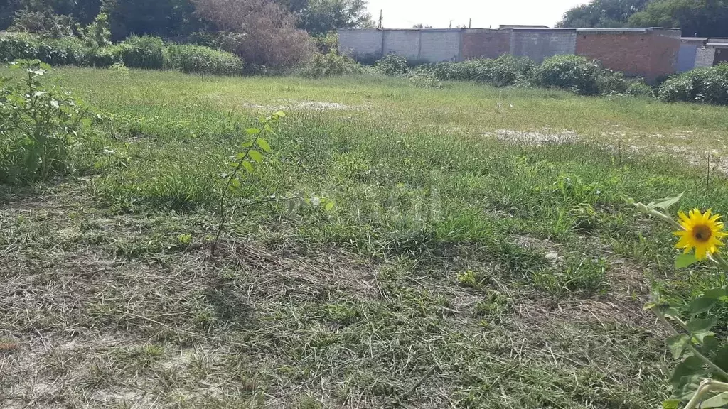 Участок в Саратовская область, Балашов ул. Софинского, 18 (18.0 сот.) - Фото 1