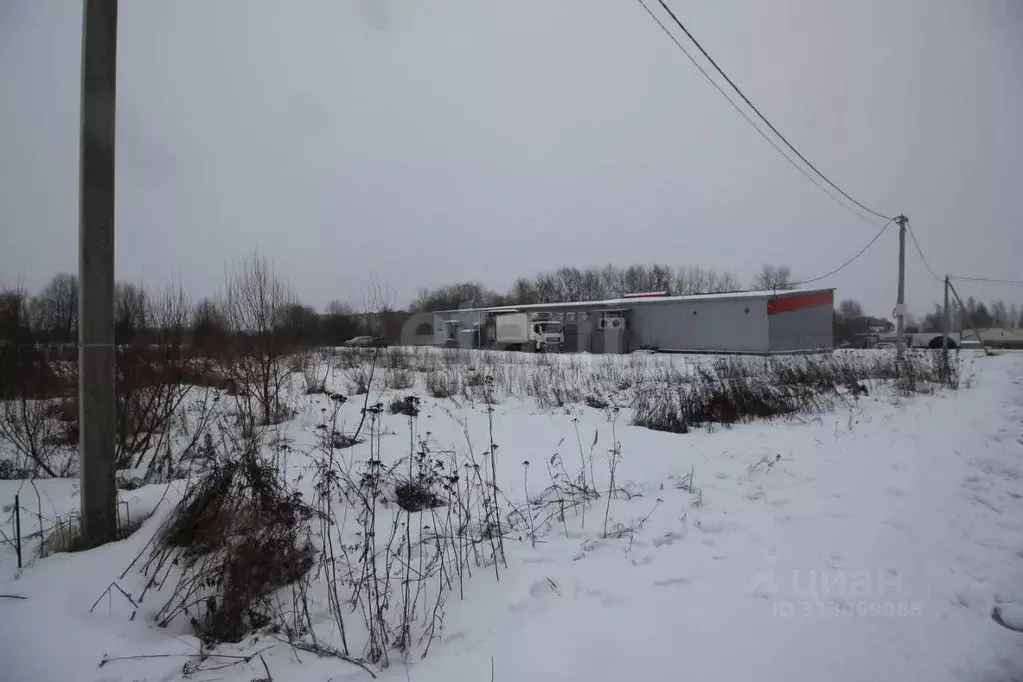 Участок в Вологодская область, Шекснинский район, д. Нифантово  (8.6 ... - Фото 1