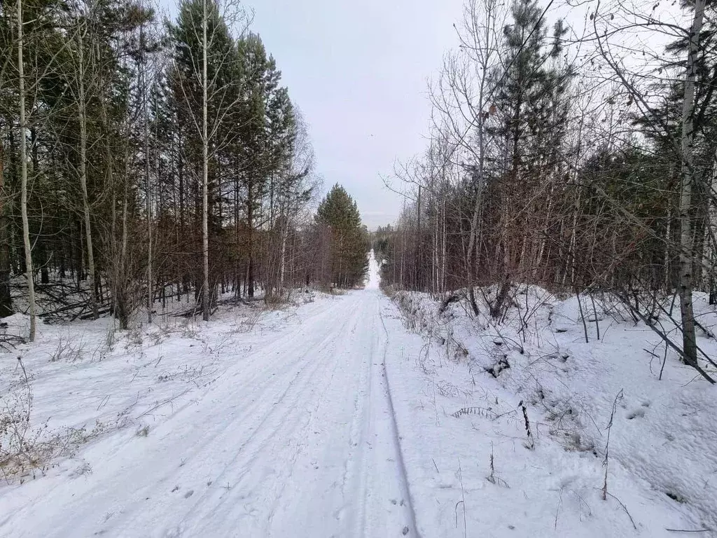 Участок в Иркутская область, Иркутский муниципальный округ, ... - Фото 1