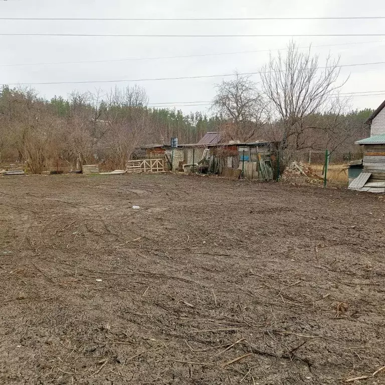 Участок в Воронежская область, Воронеж Садовод ВАСО СНТ, 24 (6.7 сот.) - Фото 0