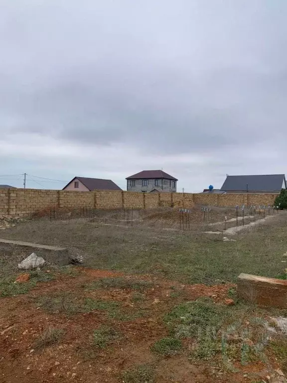 Участок в Крым, Черноморский район, с. Новосельское ул. Молодежная, 14 ... - Фото 2