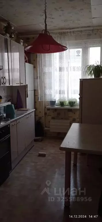 Комната Свердловская область, Екатеринбург ул. 40-летия Комсомола, 29 ... - Фото 1