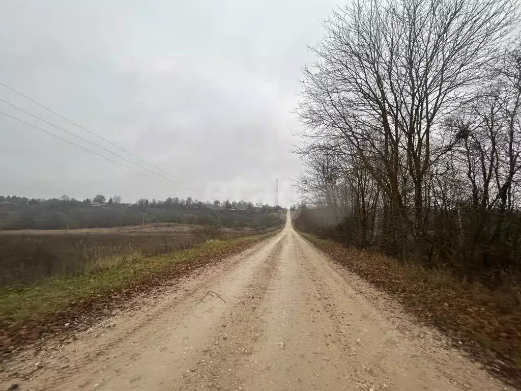 Участок в Калужская область, Боровский муниципальный округ, ... - Фото 2