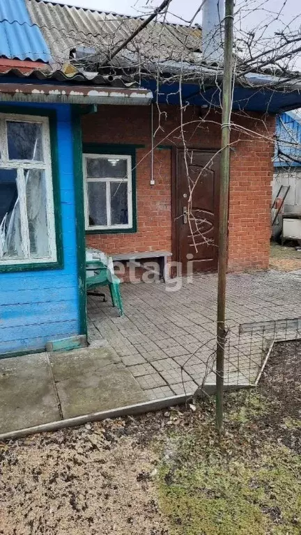 Дом в Краснодарский край, Щербиновский район, Новощербиновская ст-ца ... - Фото 1