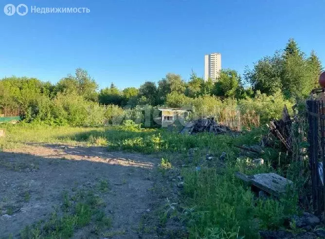Участок в Новосибирск, территория садоводческого товарищества ... - Фото 0