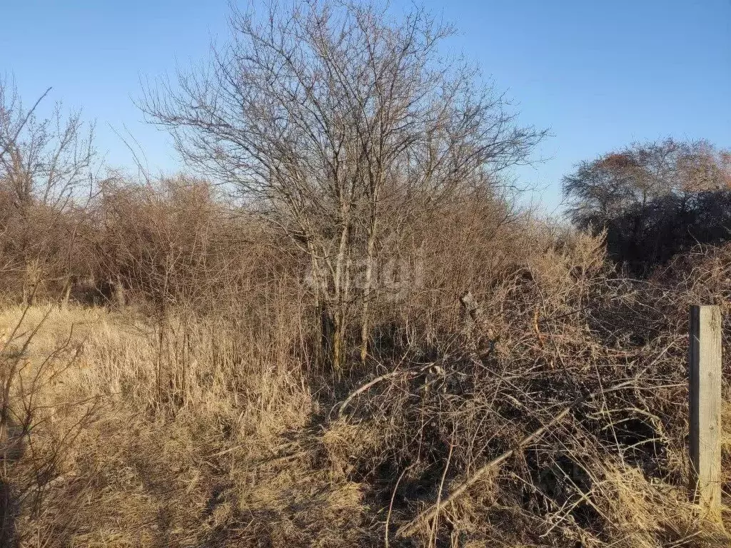 Участок в Ульяновская область, Ульяновск Южный СНТ,  (4.0 сот.) - Фото 1