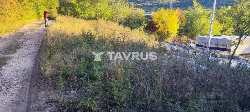 Участок в Крым, Симферопольский район, Добровское с/пос, Мраморное ... - Фото 2