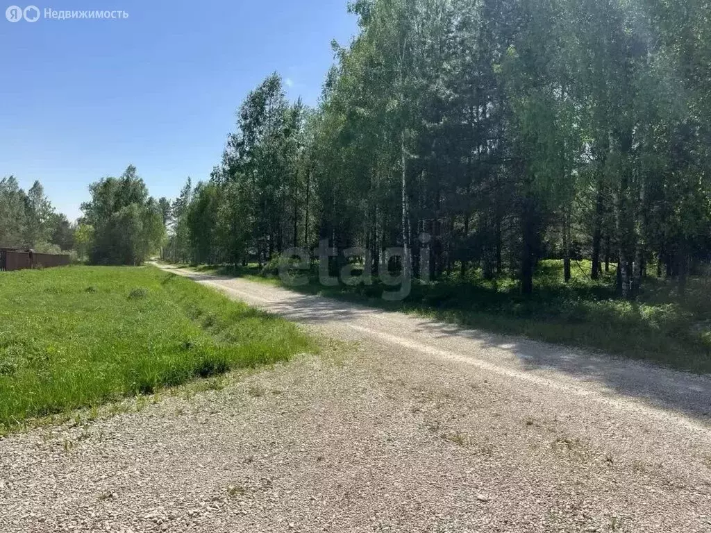 Участок в Владимирская область, Селивановский муниципальный округ, ... - Фото 2