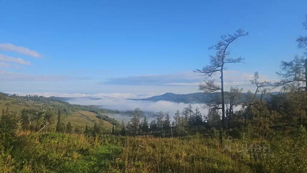 Участок в Алтай, Чемальский район, Элекмонарское с/пос, Седьмое Небо ... - Фото 1