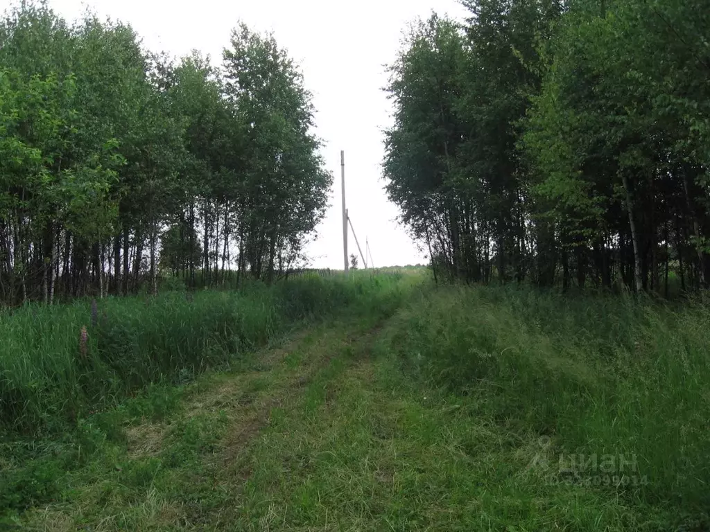 Участок в Калужская область, Малоярославецкий муниципальный округ, ... - Фото 2