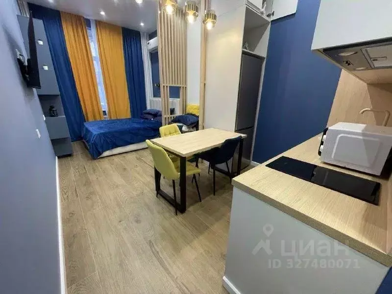 Студия Краснодарский край, Сочи Теневой пер., 10А (28.0 м) - Фото 1