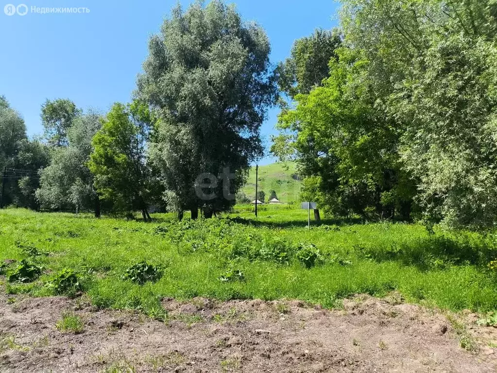 Участок в Алтайский район, Айский сельсовет, село Ая (14.93 м) - Фото 0