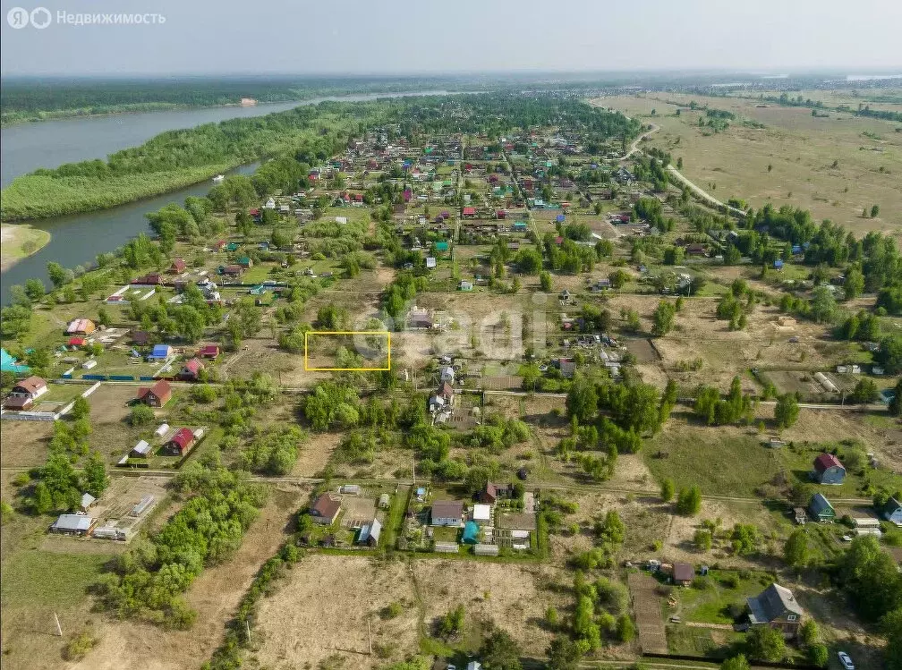 Участок в Колыванский район, СНТ Ежевичка (12 м) - Фото 0