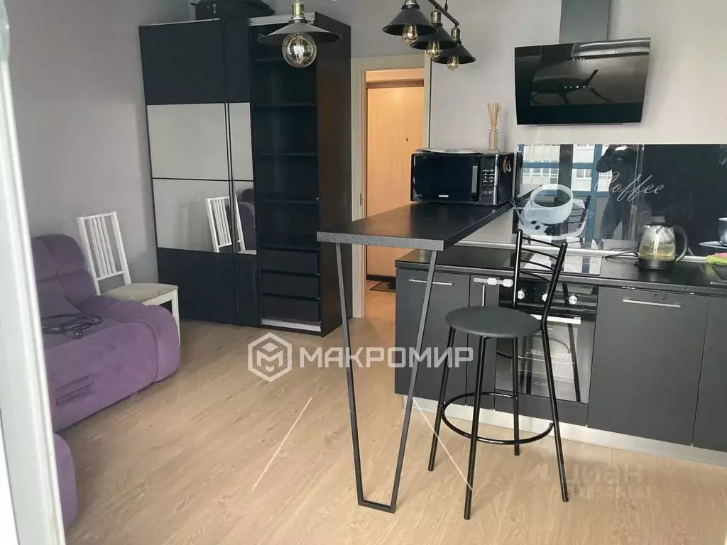 Студия Санкт-Петербург аллея Арцеуловская, 23к1 (24.1 м) - Фото 0
