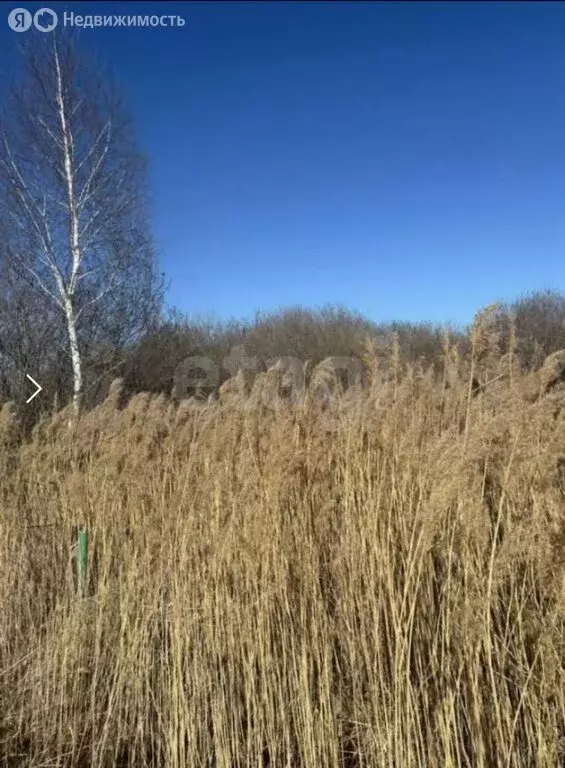 Участок в Тюмень, СНТ Ясень, Вторая улица (10 м) - Фото 2