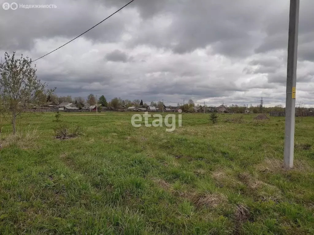 Участок в Вологодская область, Харовский муниципальный округ, деревня ... - Фото 1