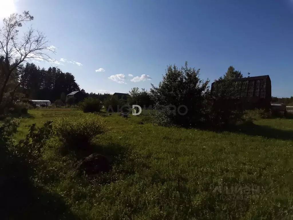 Участок в Кировская область, Слободской район, Бобинское с/пос, Чистые ... - Фото 2