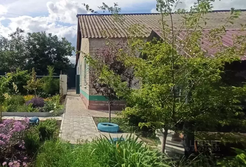 Дом в Белгородская область, Губкинский городской округ, с. Сергиевка ... - Фото 1