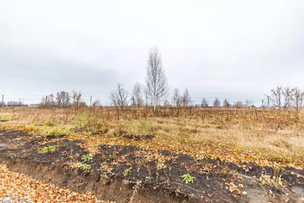 Участок в Новосибирская область, Бердск Раздольный мкр,  (9.5 сот.) - Фото 0