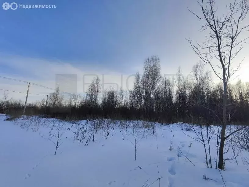 Участок в Тюменский район, село Борки (10.4 м) - Фото 0