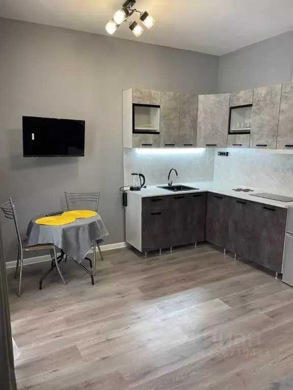 Студия Ленинградская область, Всеволожский район, Свердловское ... - Фото 1